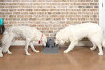 Petsafe Drinkwell Pet Fountain 7.5L