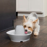 Petsafe Streamside Ceramic Pet Fountain 1.8L