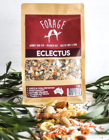 Forage Eclectus Mix