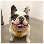Soapy Moose Dog Harness Busy Bees