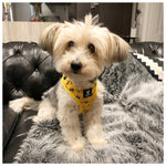 Soapy Moose Dog Harness Busy Bees