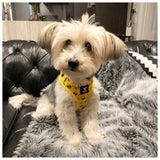Soapy Moose Dog Harness Busy Bees