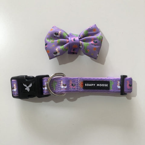 Soapy Moose Adjustable Collar with Bow Tie Lovely Llamas
