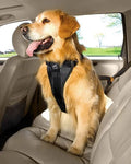 Kurgo Enhanced Strength True Fit Smart Harness Black Medium
