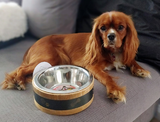 Wooden Ring Dog Bowl Medium 1Ltr