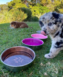 Le Bol Chocolate - Dog Bowl