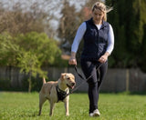 Halti Training Lead Black Small