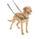 Halti Training Dog Lead Large Black