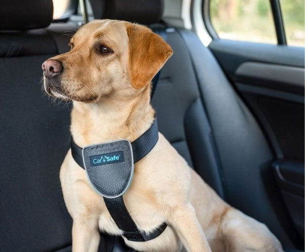 CarSafe Crash Tested - Hondentuig | bestellen CarSafe Crash Tested - Hondentuig | bestellen