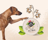 Pet Head On All Paws Hydrating Paw Butter Oatmeal with Coconut Butter 40g