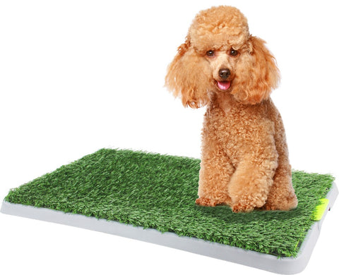 Green Dog Toilet Trainer 68 x 42xm Portable Potty Pad with Grass Mat