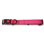 Bainbridge Reflective Adjustable Dog Collar Aqua
