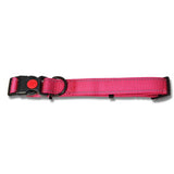Bainbridge Reflective Adjustable Dog Collar Aqua