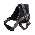 Bainbridge Black Sport Dog Harness Adjustable Padded