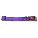 Bainbridge Reflective Adjustable Dog Collar Purple