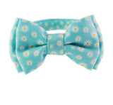 Dan & Sam Cat Collar with Removable Bow Tie Chamomile