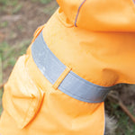 Kazoo Days Dog Raincoat Orange