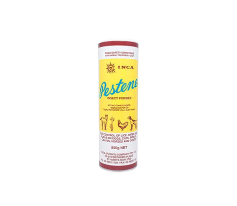Inca Pestene Powder 500g