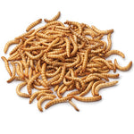 Pisces Mealworms 100g