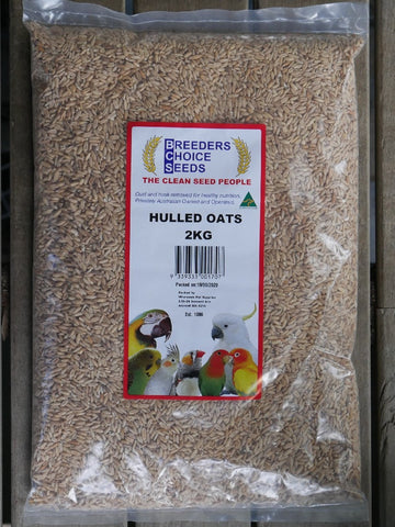 Breeders Choice Seeds Premium Hulled Oats Seed