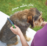 Kazoo Moulting Comb