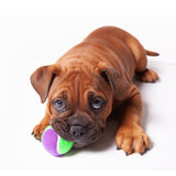 Kazoo Sponge Tennis Ball - Medium