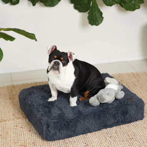Kazoo Slumber Bed - Cloudy Grey Large