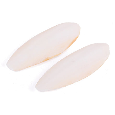 Kazoo Cuttlebone Natural - Medium 2 Pack