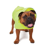 Kazoo Rainy Days Dog Raincoat