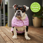 Kazoo Powder Puff Snuggie Dog Coat