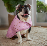 Kazoo Powder Puff Snuggie Dog Coat