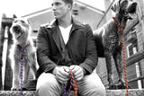 EzyDog Luca 8mm Dog Lead Black 170cm