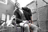 EzyDog Luca 8mm Dog Lead Black 170cm