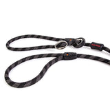 EzyDog Luca 8mm Dog Lead Black 170cm