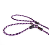 EzyDog Luca Lite 6mm Dog Lead Purple 170cm