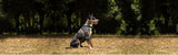 EzyDog CrossCheck Dog Harness Black
