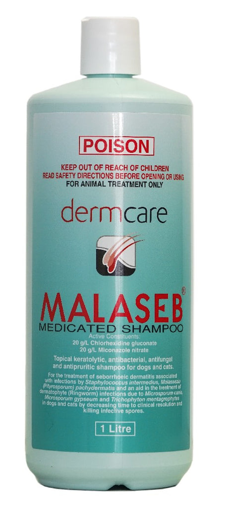 Dermcare Malaseb Medicated Shampoo – Uncle Tom's Pet Poultry