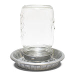 Bainbridge Galvanised Chicken Poultry Water Drinker with Mason Top
