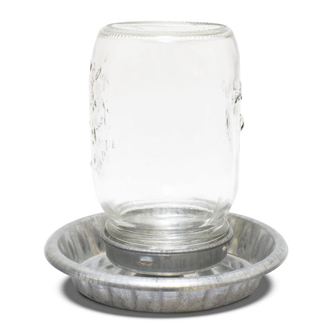 Bainbridge Galvanised Chicken Poultry Water Drinker with Mason Top
