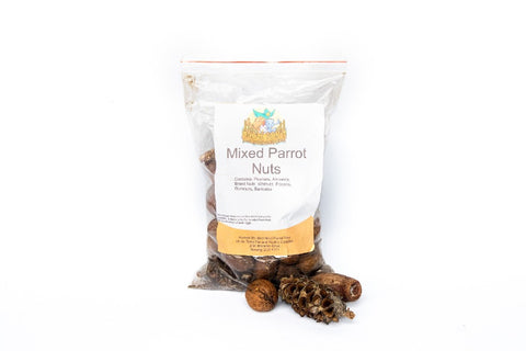 Bird Nerd Parrot Toys - Mixed Nuts