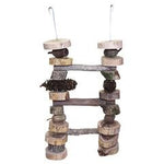 Bird Nerd Parrot Toys - Large Ladder