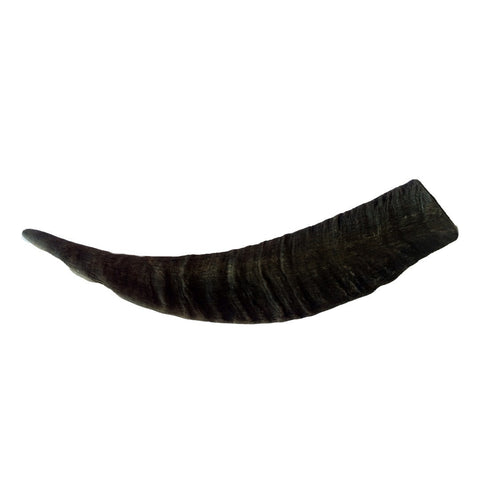 Goat Horn