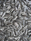 UT Grey Stripe Sunflower Seeds 5kg